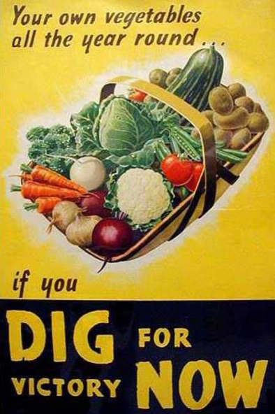 Your own vegetables all the year round if you dig for victory now